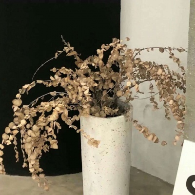 兽设山谷场景创作福瑞群